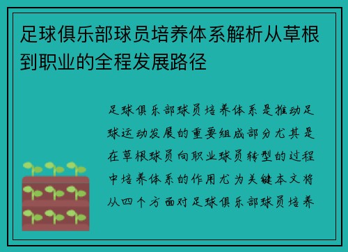 足球俱乐部球员培养体系解析从草根到职业的全程发展路径