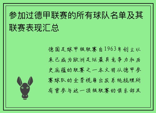 参加过德甲联赛的所有球队名单及其联赛表现汇总